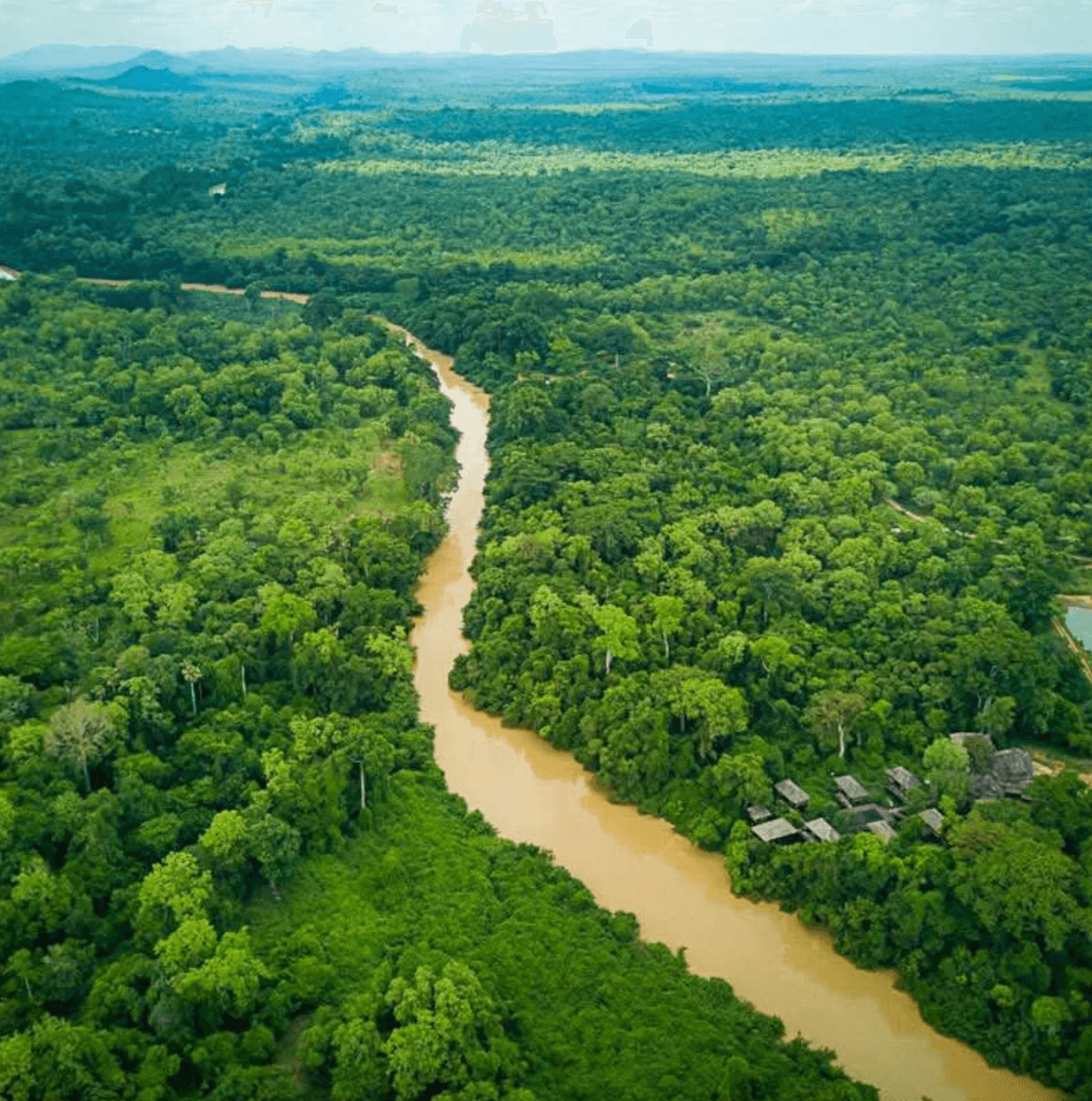 Safari Jeep / à pied / Équestre