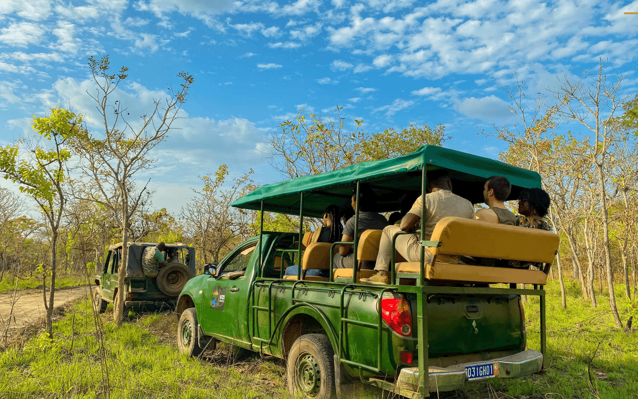 Safari Jeep / à pied / Équestre - Photo 2