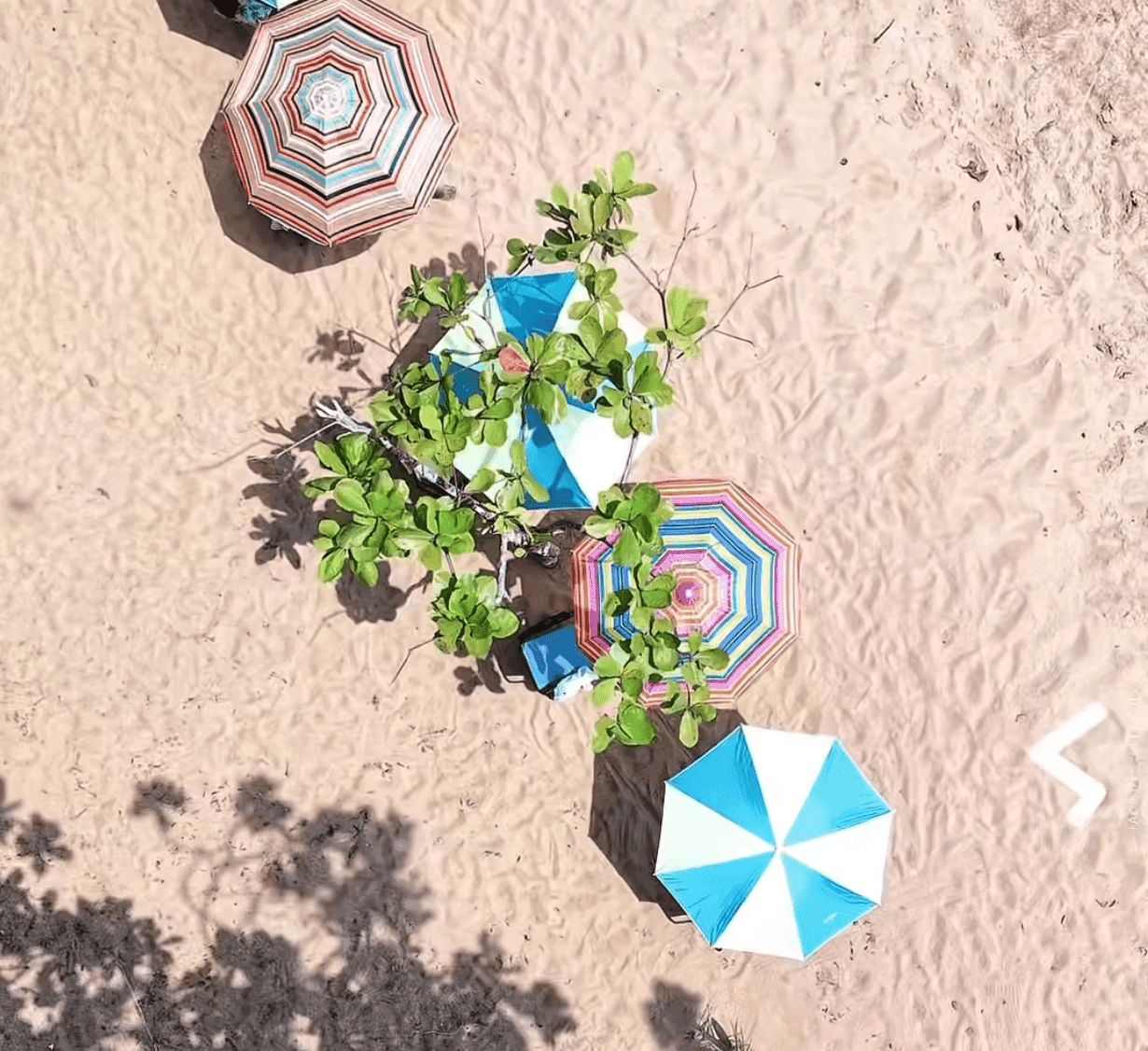 Picnic Dagbego - Photo 2