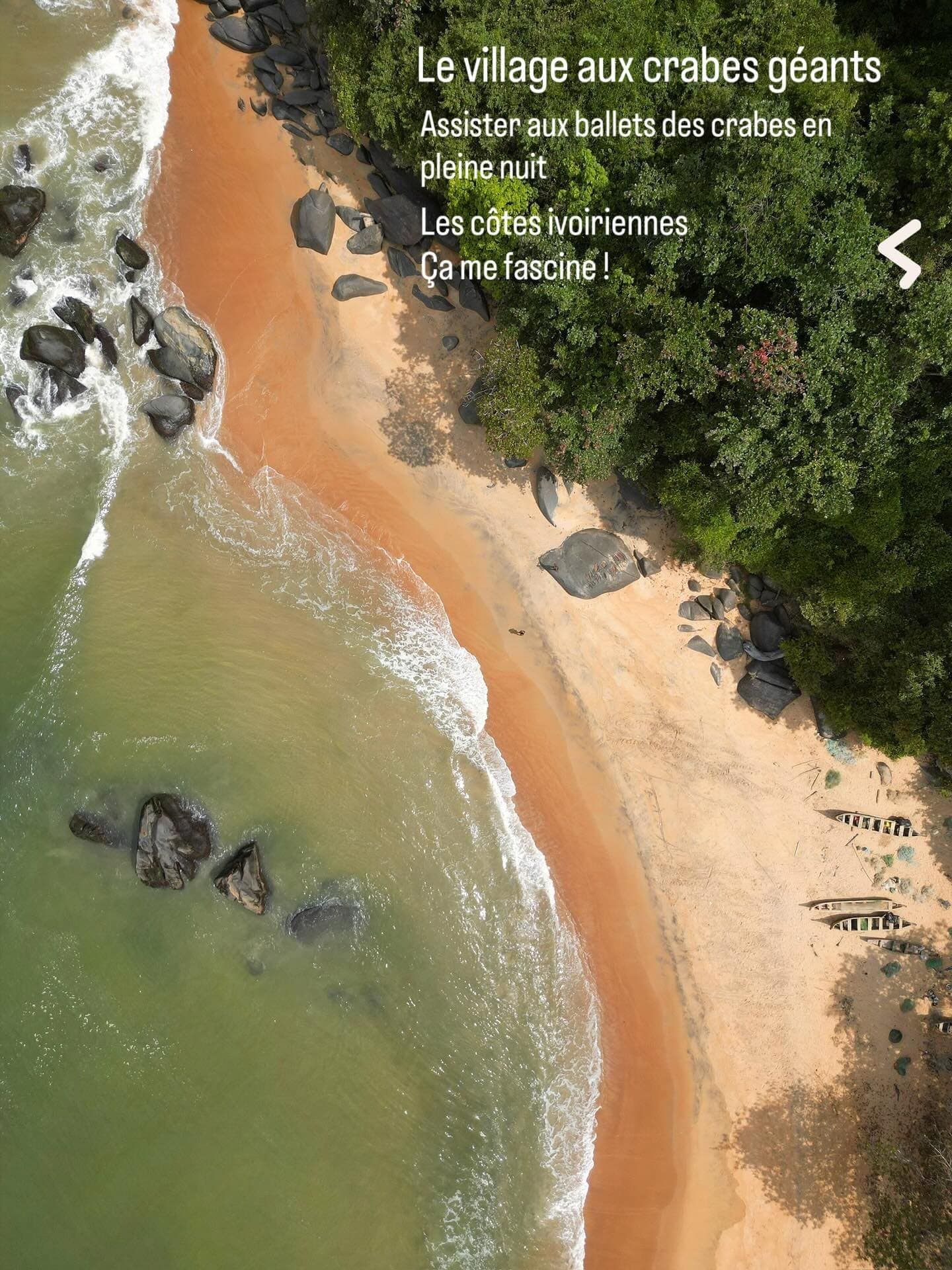 Picnic Dagbego - Photo 3