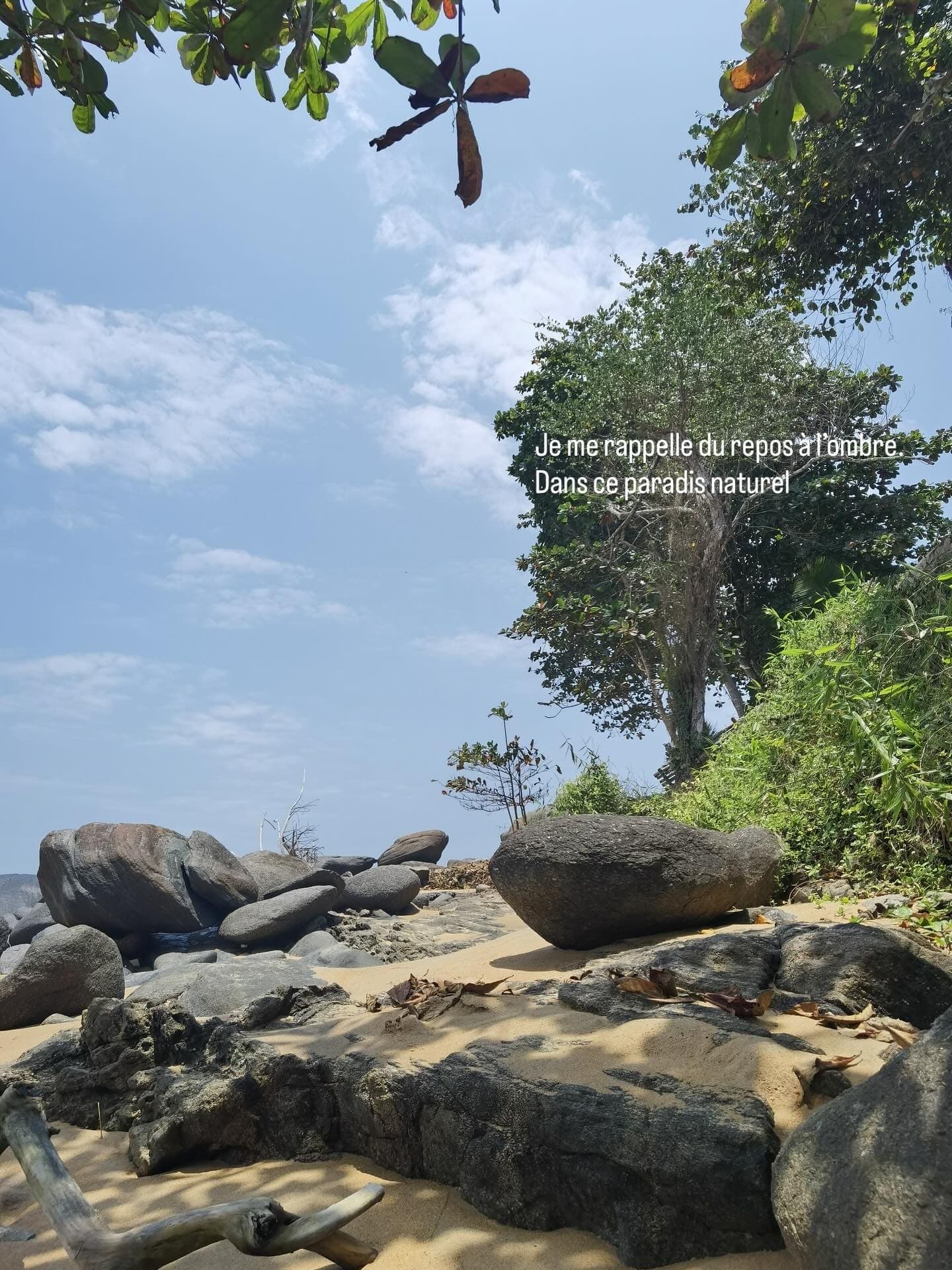 Picnic Dagbego - Photo 4