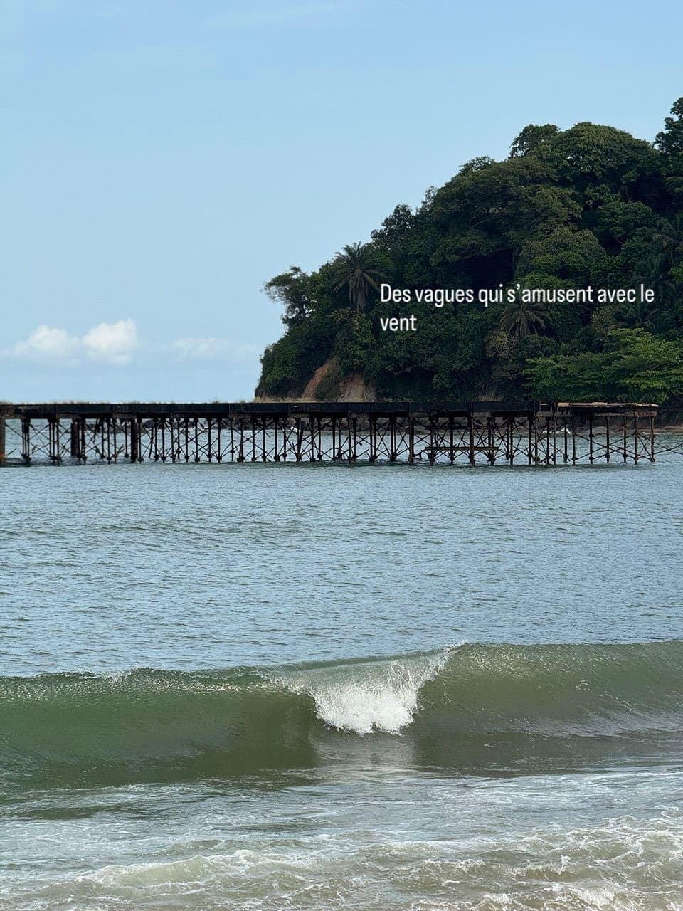 Picnic Dagbego - Photo 5