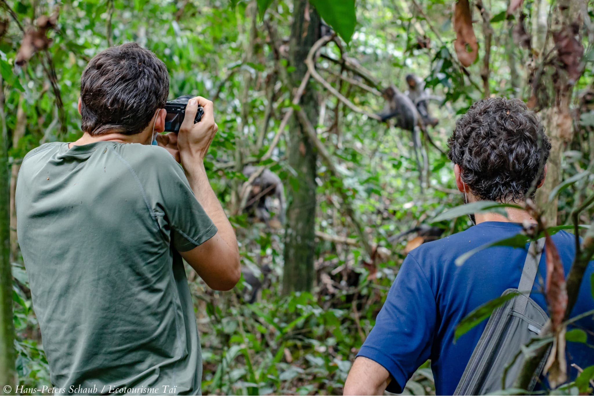 Excursion au Parc National de Taï (Ecotourisme Communautaire) - Photo 5