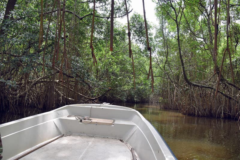 Visite du Parc national des îles Ehotilé en Pirogue - Photo 4