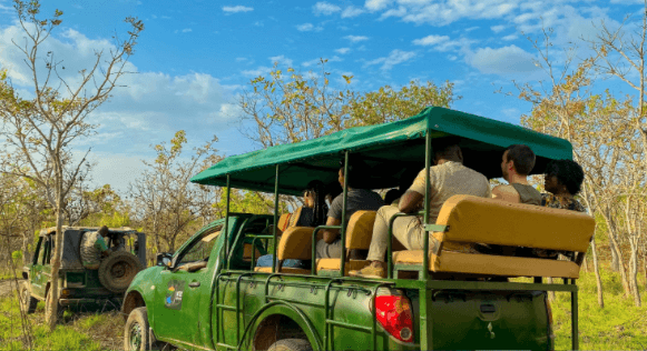 Nuitée romantique & Safari en JEEP