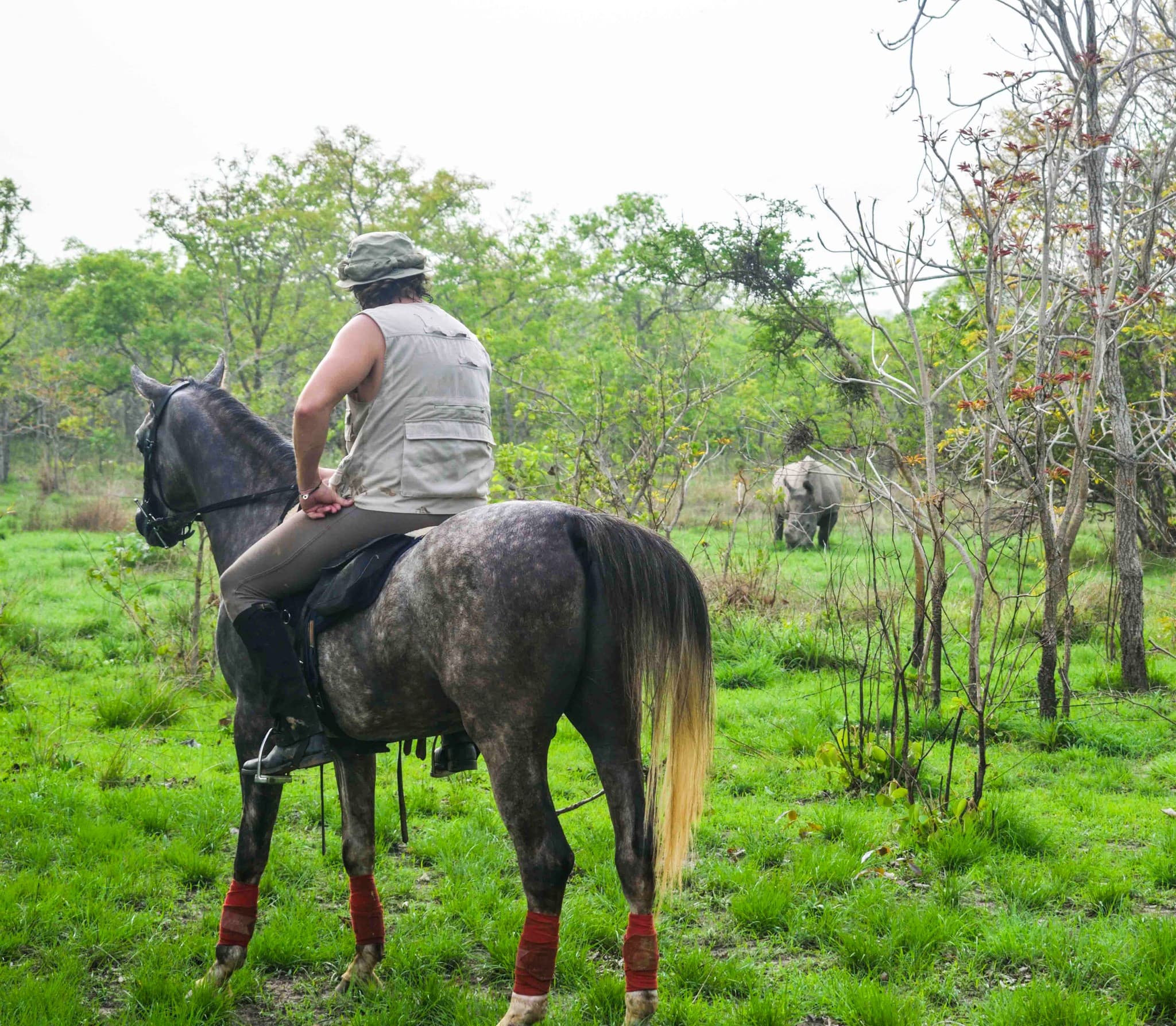 Nuitée de Charme & Safari Equestre
